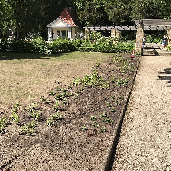 Botanischer Garten Bamberg Ausflugstipp Bamberg Ein